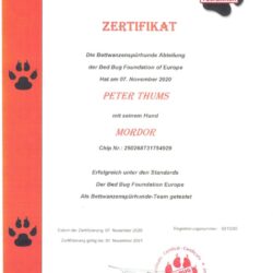 Zertifikat Mordor - Zertifizierter Wanzenspürhund für Bettwanzenbekämpfung in Wien Niederösterreich und Burgenland